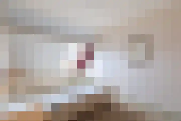 Arendsweg 68 Alkmaar thumbnail 17