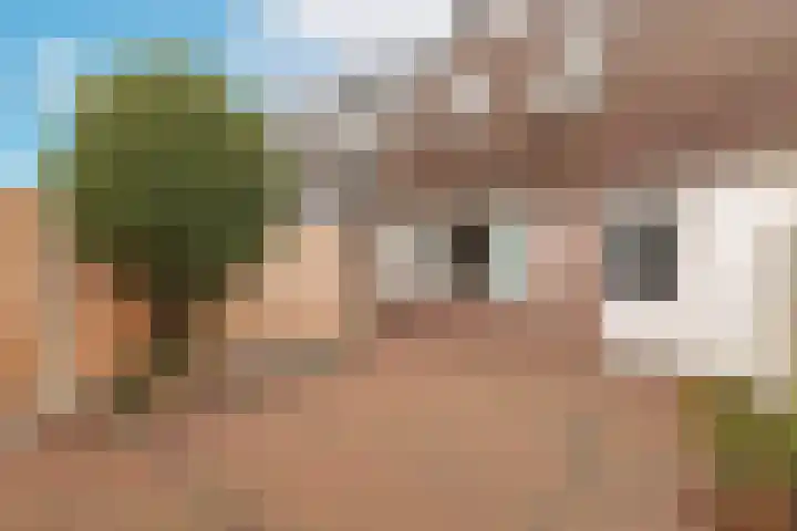 Arendsweg 68 Alkmaar thumbnail 37
