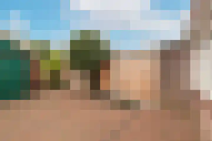 Arendsweg 68 Alkmaar thumbnail 38