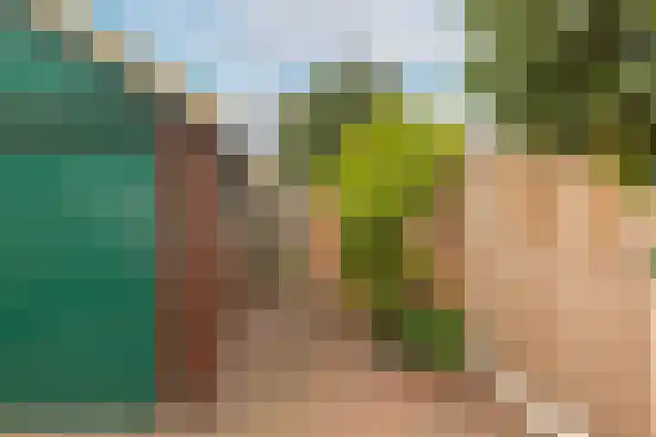 Arendsweg 68 Alkmaar thumbnail 40