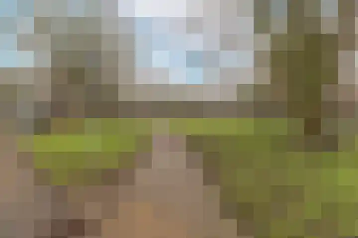 Arendsweg 68 Alkmaar thumbnail 48