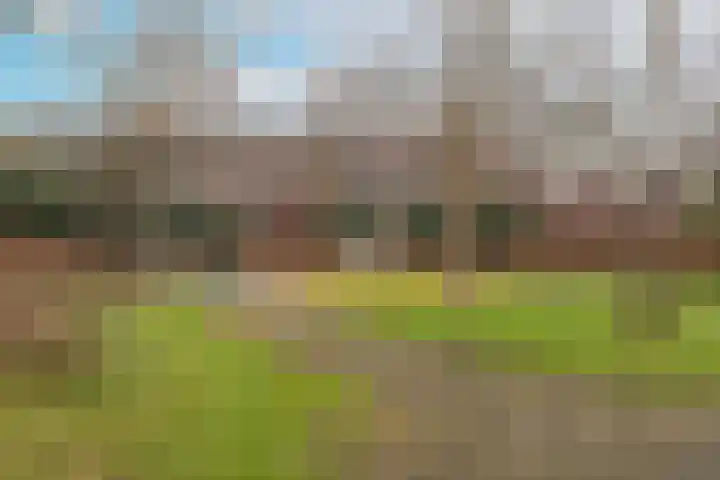 Arendsweg 68 Alkmaar thumbnail 49