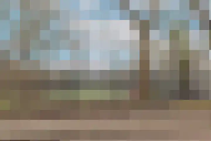 Arendsweg 68 Alkmaar thumbnail 50