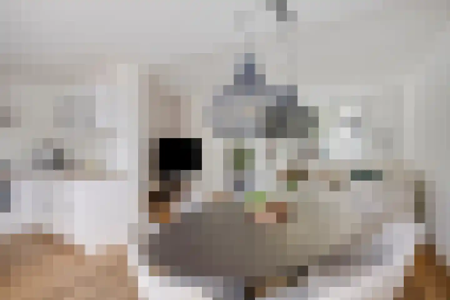 Arendsweg 79 Beverwijk thumbnail 10