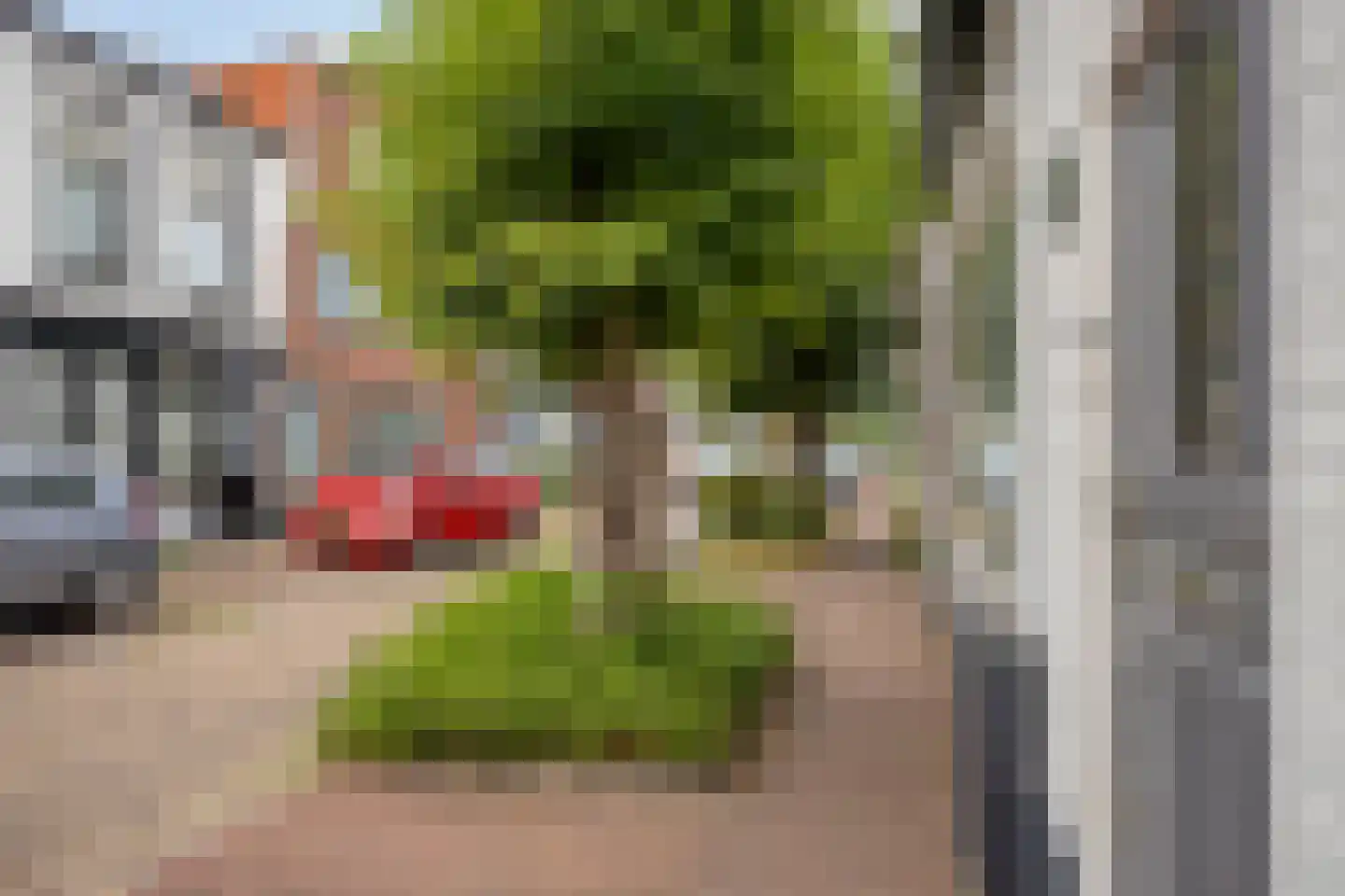Arendsweg 79 Beverwijk thumbnail 33