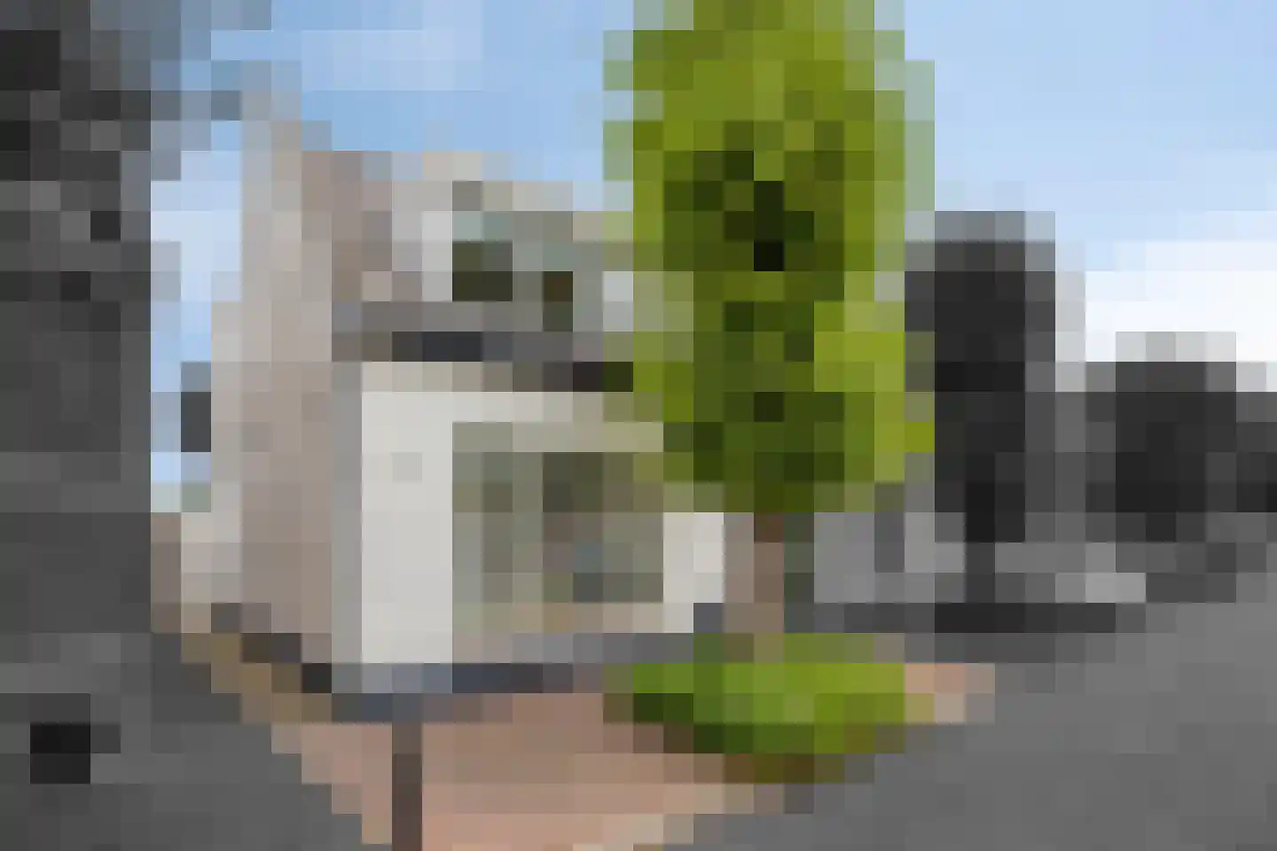 Arendsweg 79 Beverwijk thumbnail 39