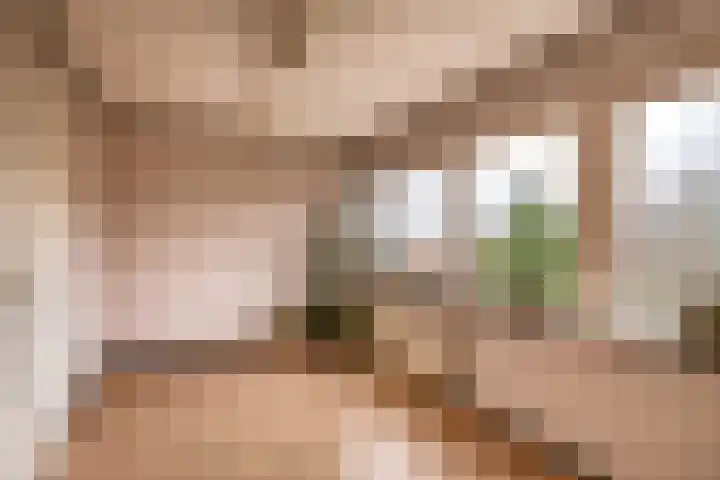 Arendsweg 80 A Beverwijk thumbnail 31