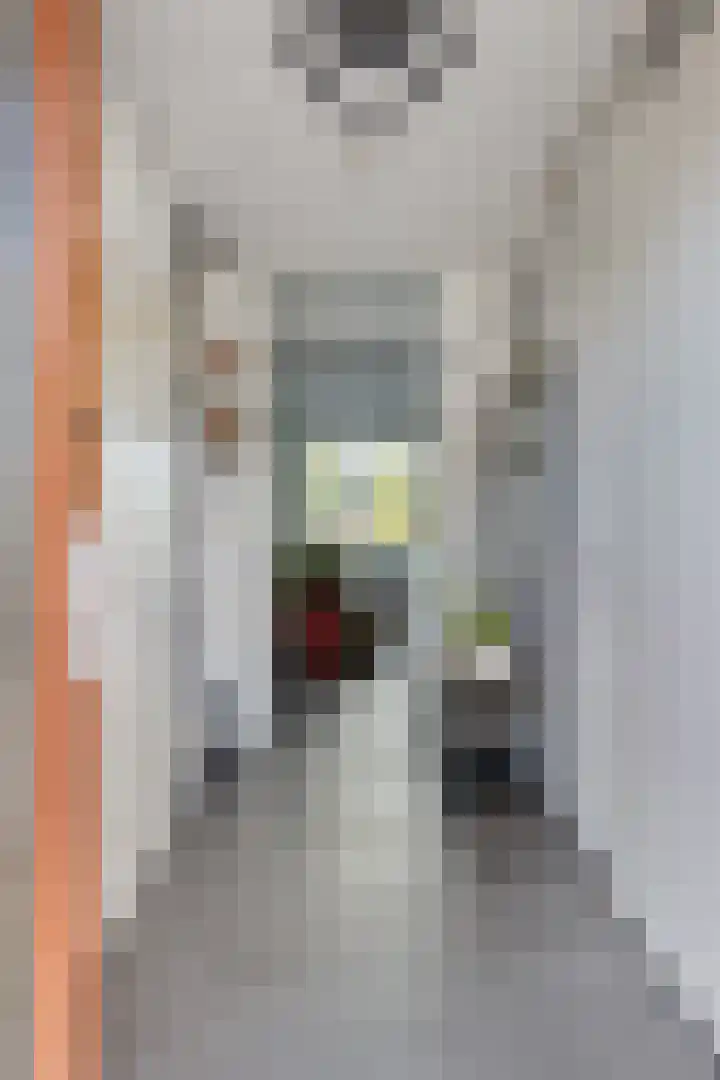 Arènpalmstraat 16 Amsterdam thumbnail 6