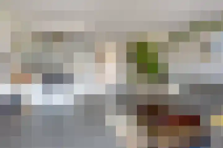 Arènpalmstraat 16 Amsterdam thumbnail 8