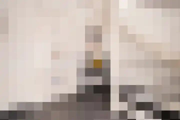 Arent Janszoon Ernststraat 186 Amsterdam thumbnail 17