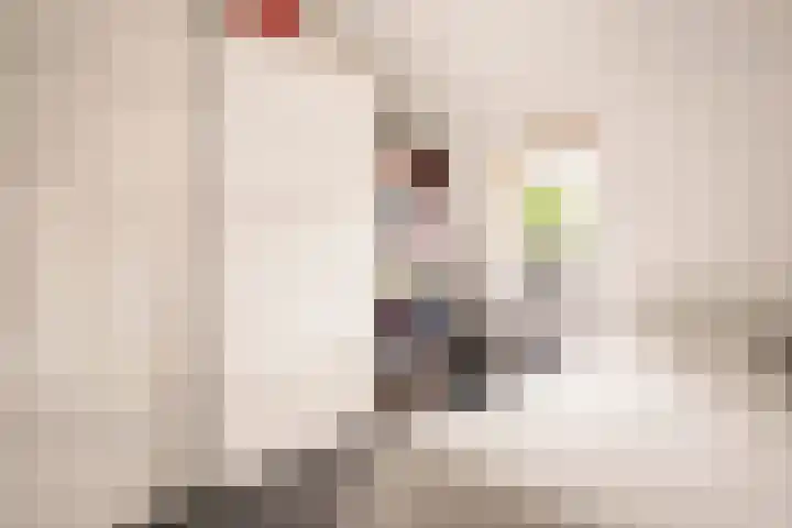 Arent Janszoon Ernststraat 186 Amsterdam thumbnail 31