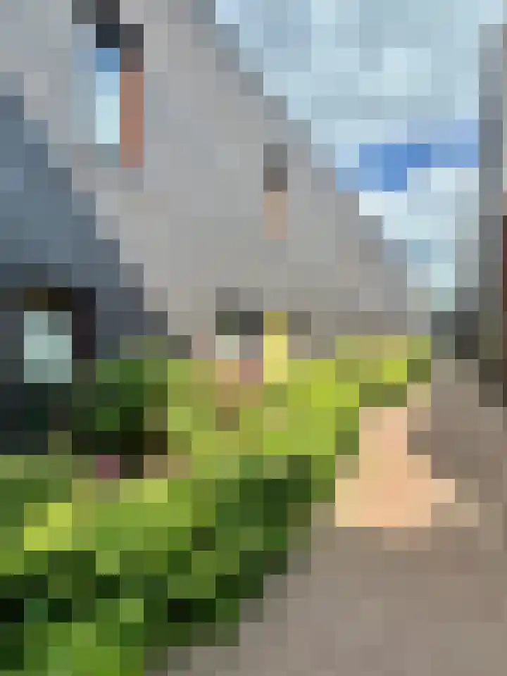 Arent Janszoon Ernststraat 186 Amsterdam thumbnail 39