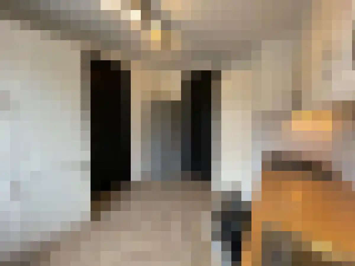Arent Janszoon Ernststraat 267 Amsterdam thumbnail 5