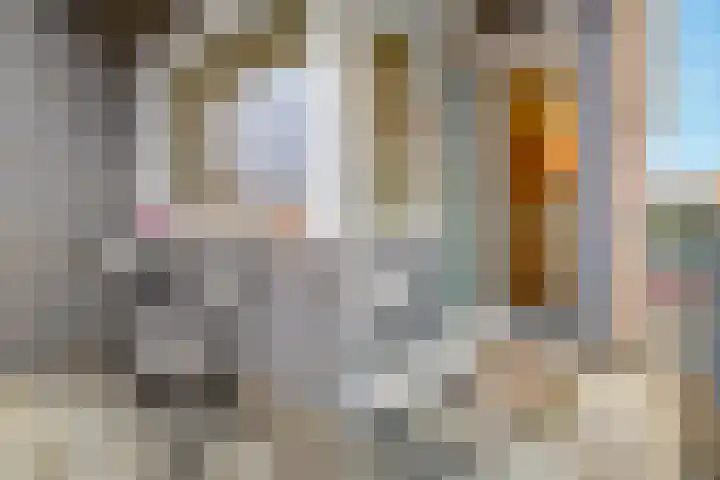 Arent Krijtsstraat 33 II Diemen thumbnail 55