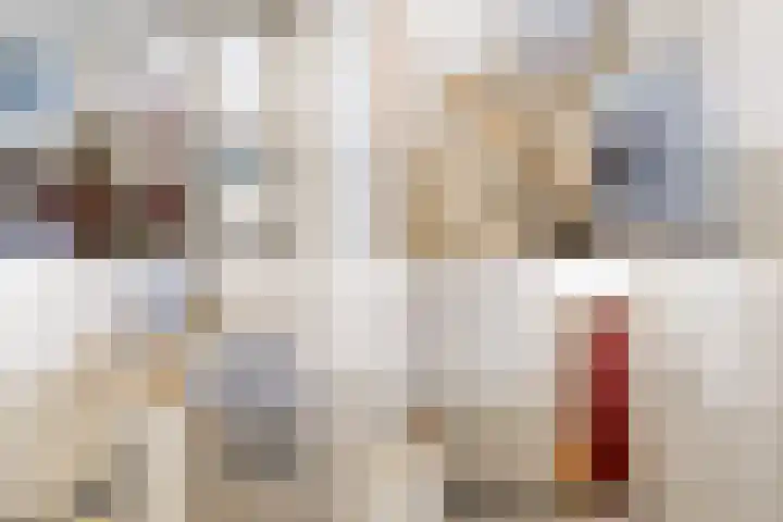 Arent Krijtsstraat 37 I Diemen thumbnail 34