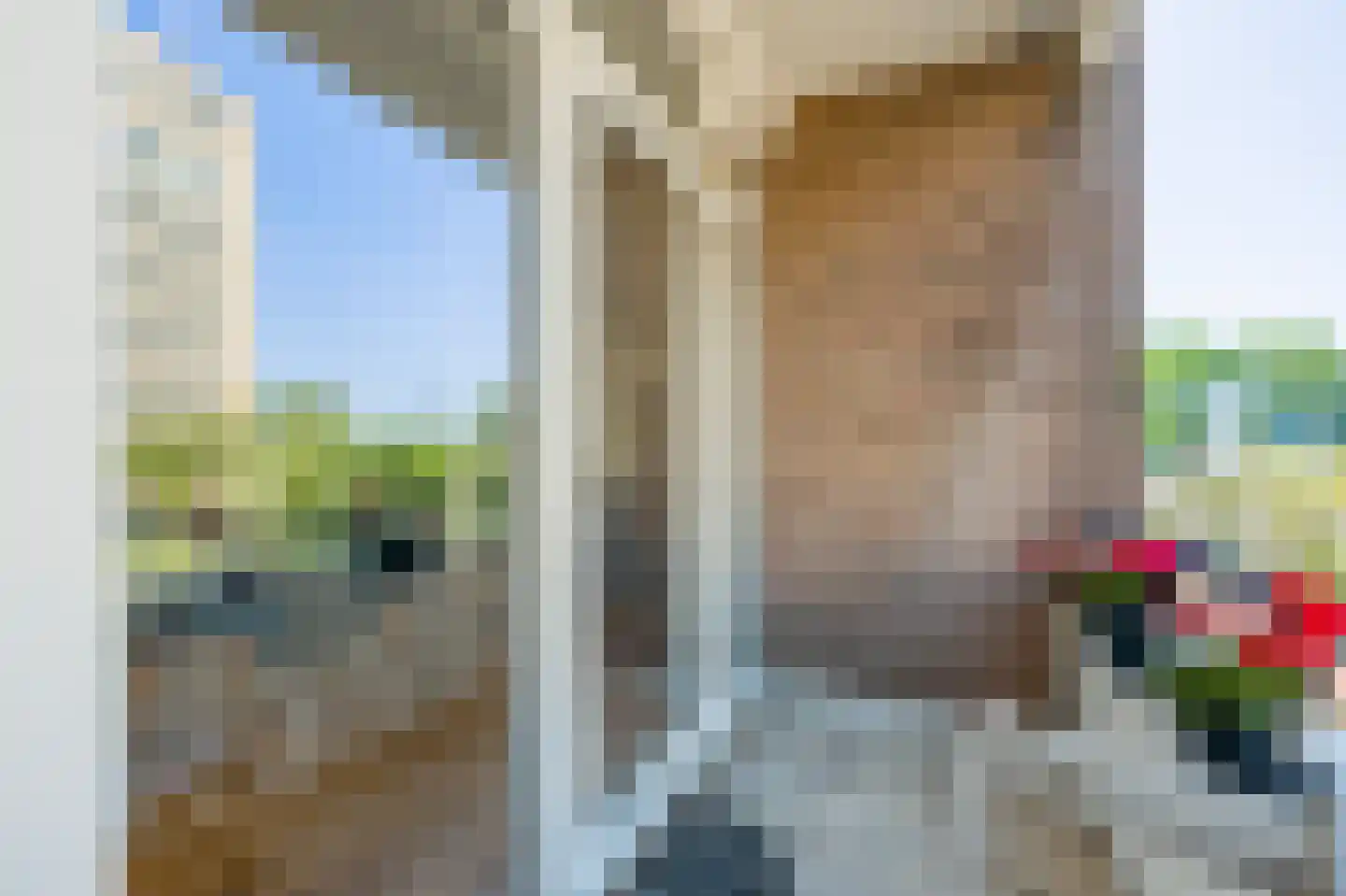 Arent Krijtsstraat 4 I Diemen thumbnail 12