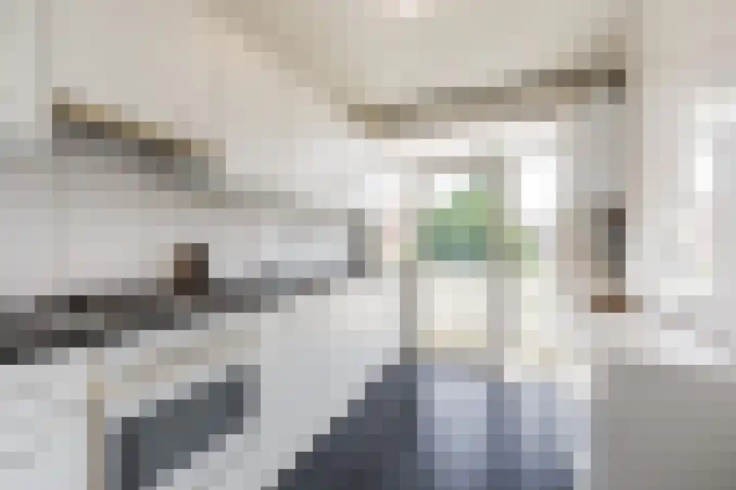 Arent Krijtsstraat 4 I Diemen thumbnail 4