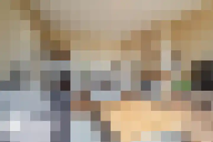 Arent Krijtsstraat 85 Diemen thumbnail 8