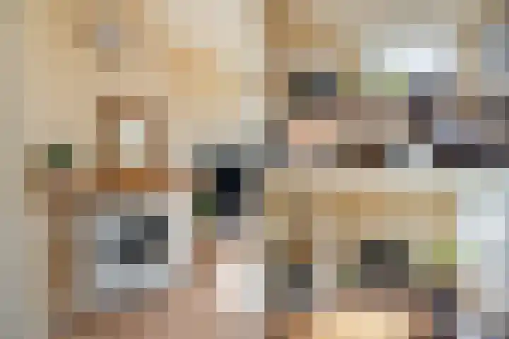 Arent Krijtsstraat 85 Diemen thumbnail 9