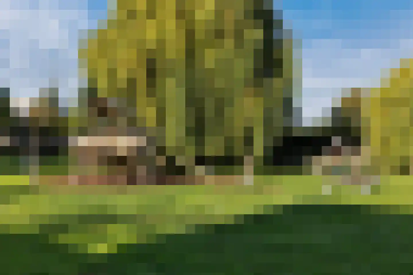 Arent Maertensvliet 83 Barendrecht thumbnail 38