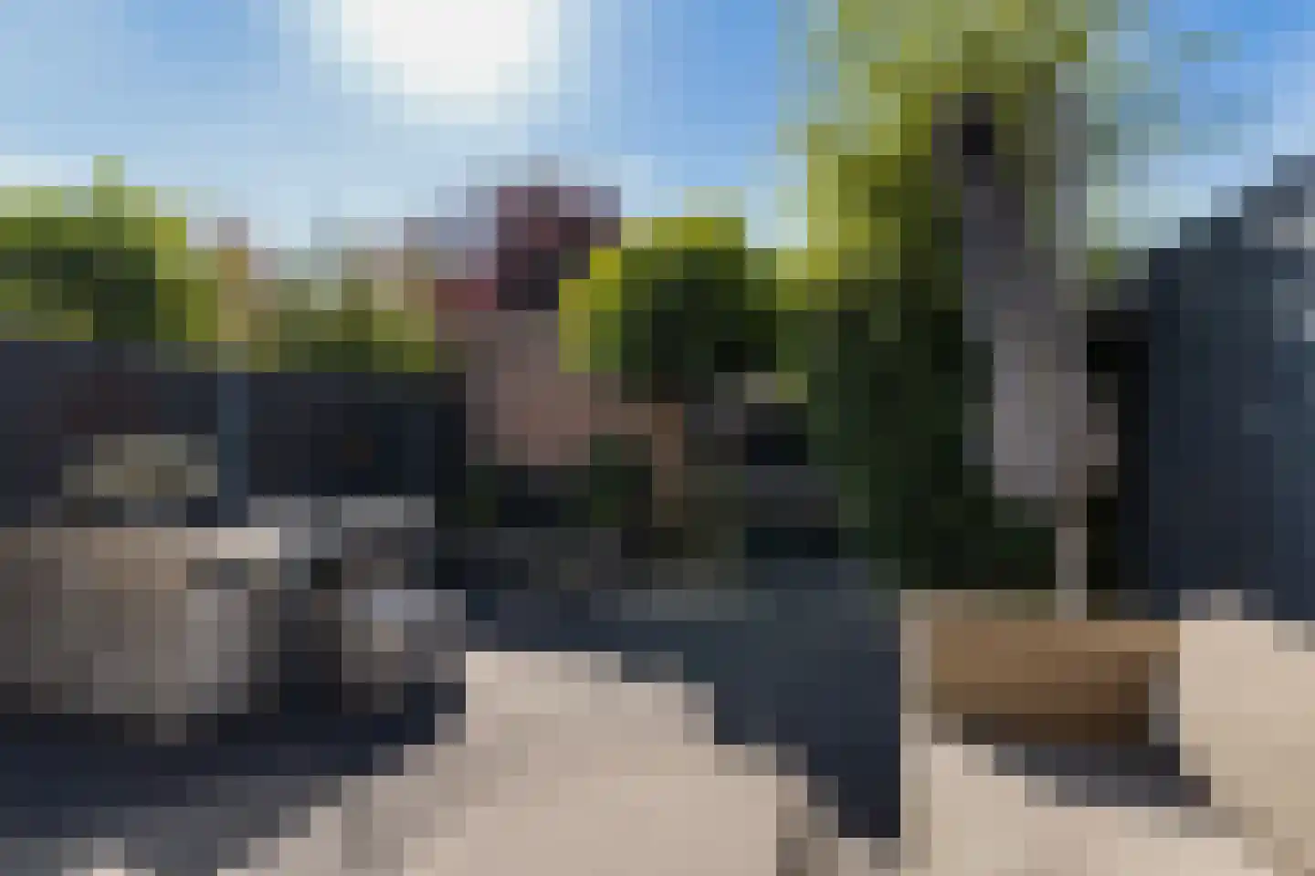 Arent Maertensvliet 83 Barendrecht thumbnail 6