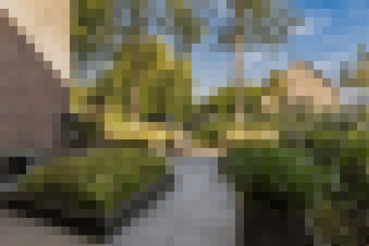 Arent Maertensvliet 83 Barendrecht thumbnail 8