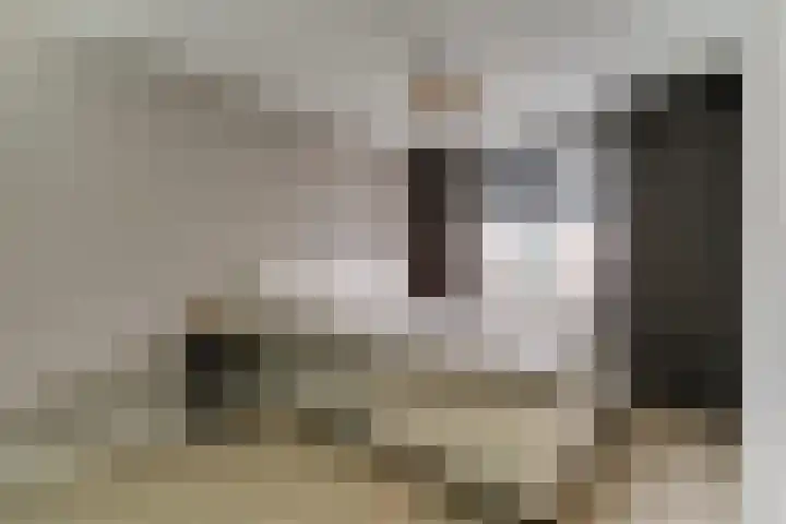 Arent van Gentlaan 23 Spanbroek thumbnail 21