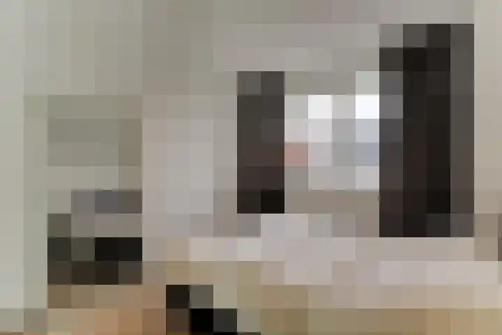 Arent van Gentlaan 23 Spanbroek thumbnail 25