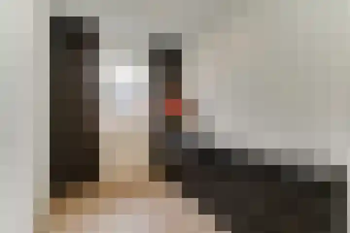 Arent van Gentlaan 23 Spanbroek thumbnail 27