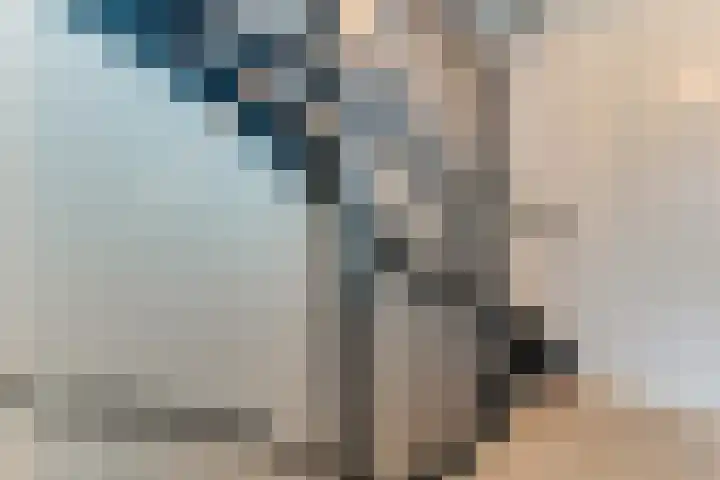 Arent van Gentlaan 23 Spanbroek thumbnail 32