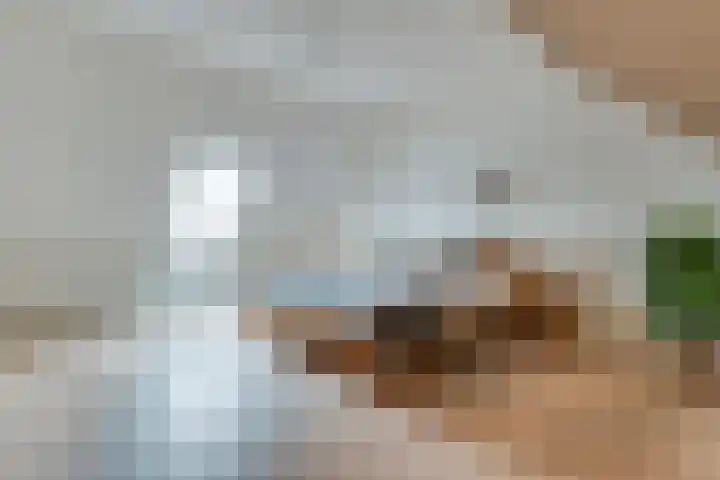 Arent van Gentlaan 23 Spanbroek thumbnail 36