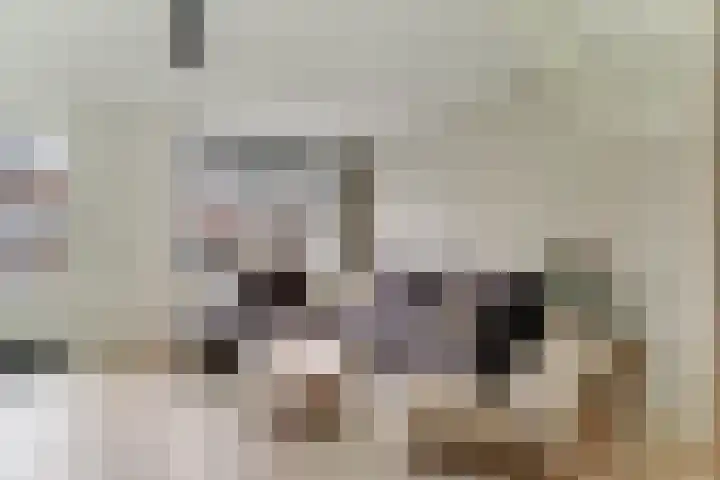 Arent van Gentlaan 23 Spanbroek thumbnail 9