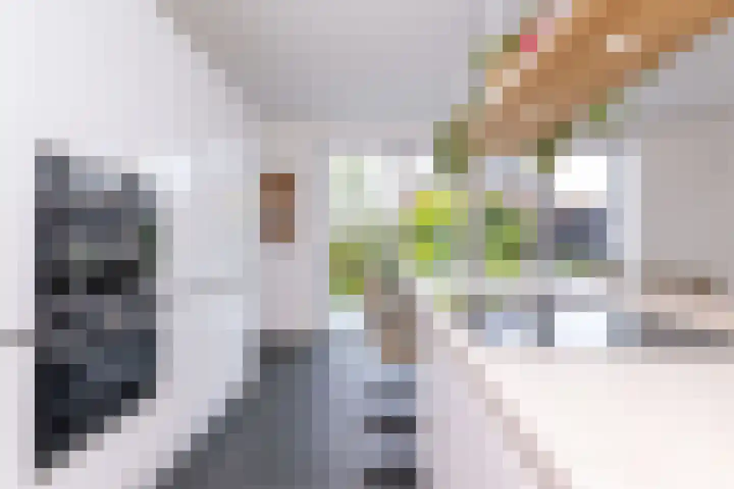 Arent van Gentlaan 26 Spanbroek thumbnail 10