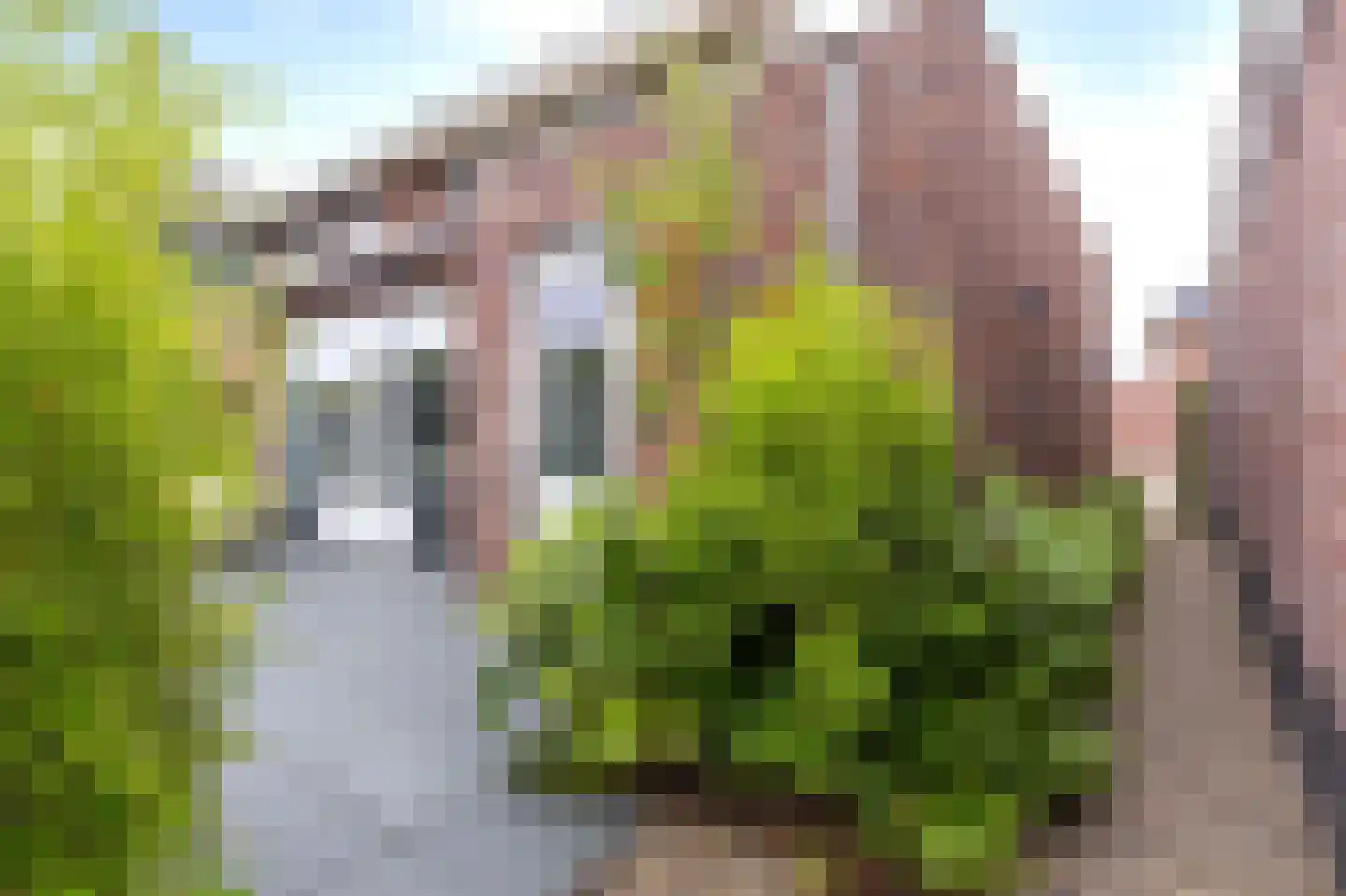 Arent van Gentlaan 26 Spanbroek thumbnail 28