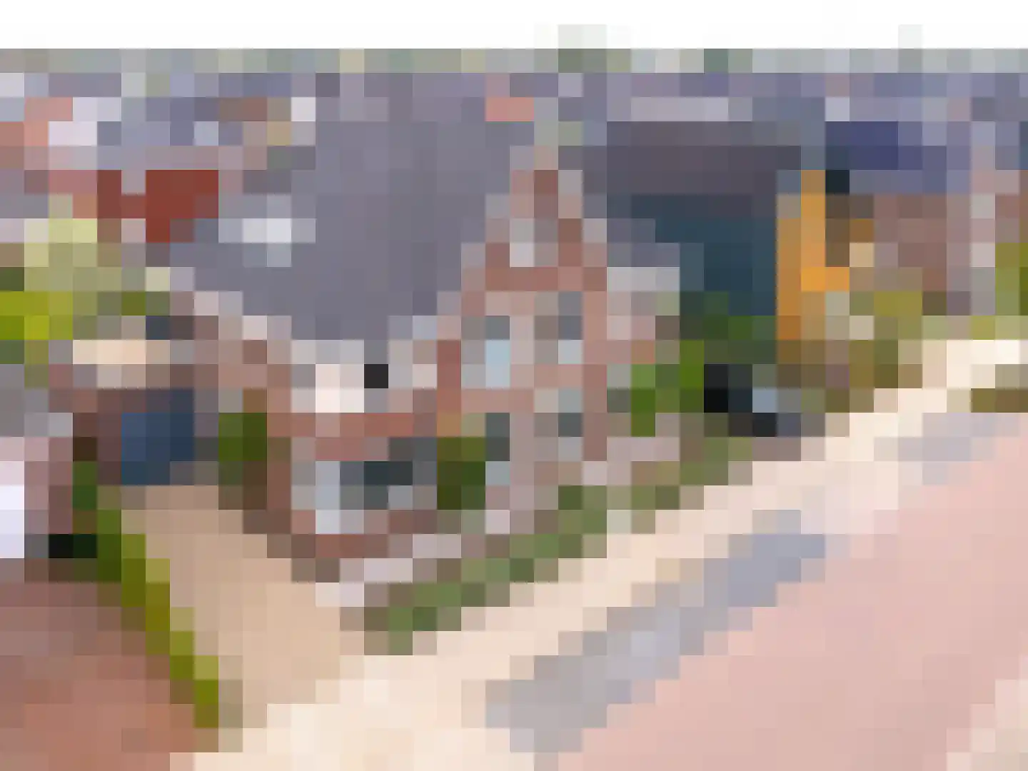 Arent van Gentlaan 26 Spanbroek thumbnail 30