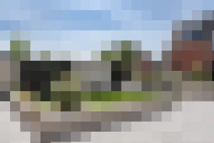 Arent van Gentlaan 34 Spanbroek thumbnail 29