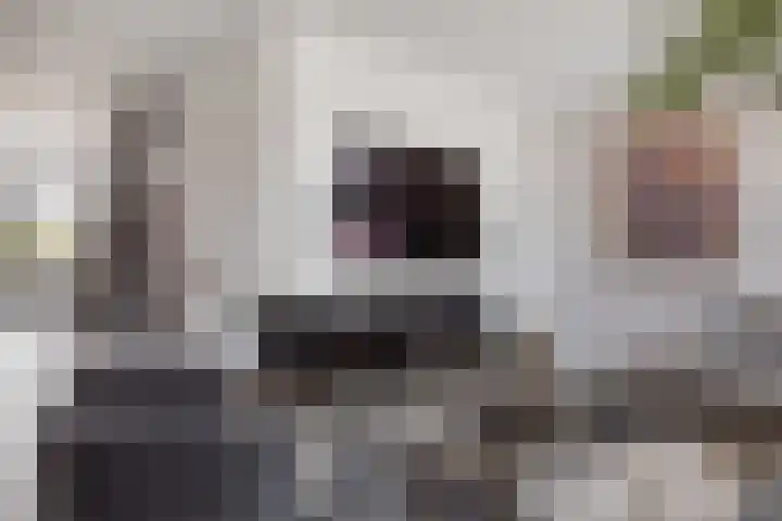 Arent van Gentlaan 34 Spanbroek thumbnail 8
