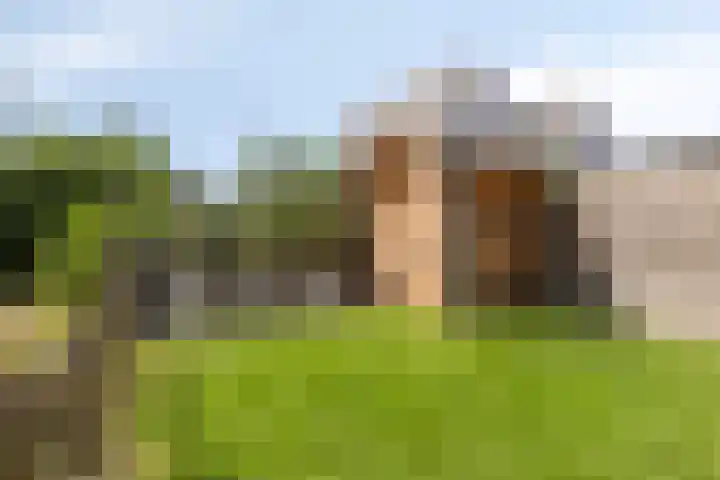 Arent van Gentlaan 43 Spanbroek thumbnail 50