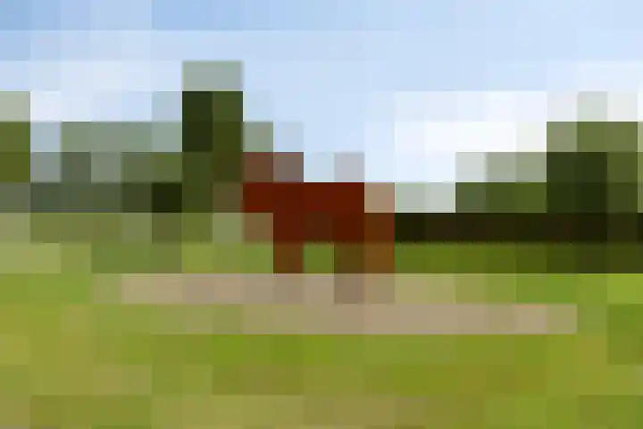 Arent van Gentlaan 43 Spanbroek thumbnail 58