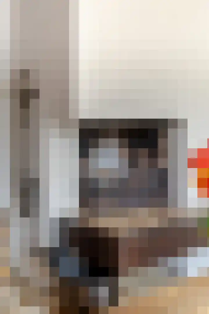 Arent van Gentstraat 12 Giessenburg thumbnail 12