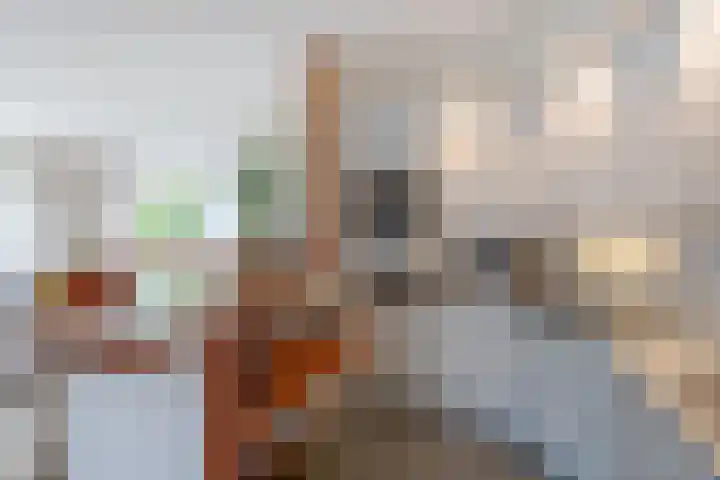 Arent van Gentstraat 12 Giessenburg thumbnail 14