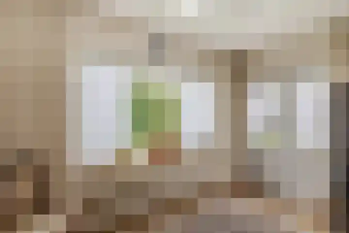 Arent van Gentstraat 12 Giessenburg thumbnail 18