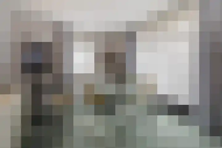 Arent van Gentstraat 12 Giessenburg thumbnail 22