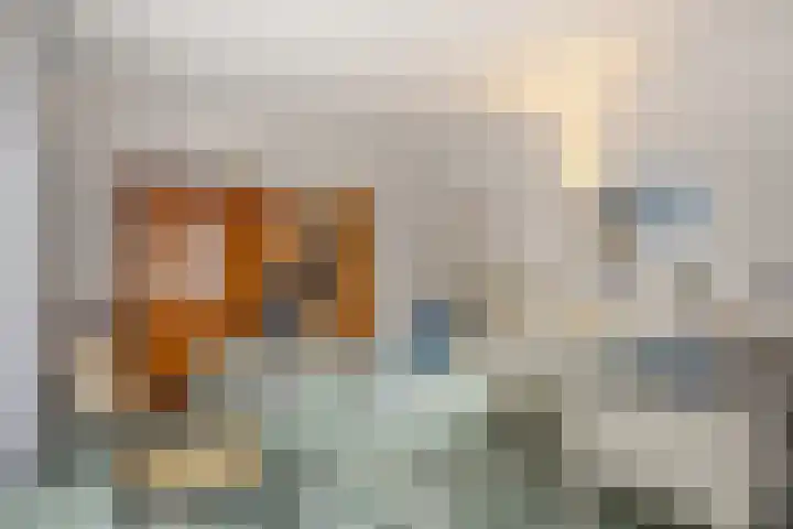 Arent van Gentstraat 12 Giessenburg thumbnail 23