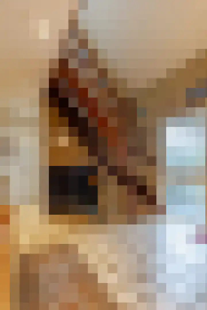 Arent van Gentstraat 12 Giessenburg thumbnail 29