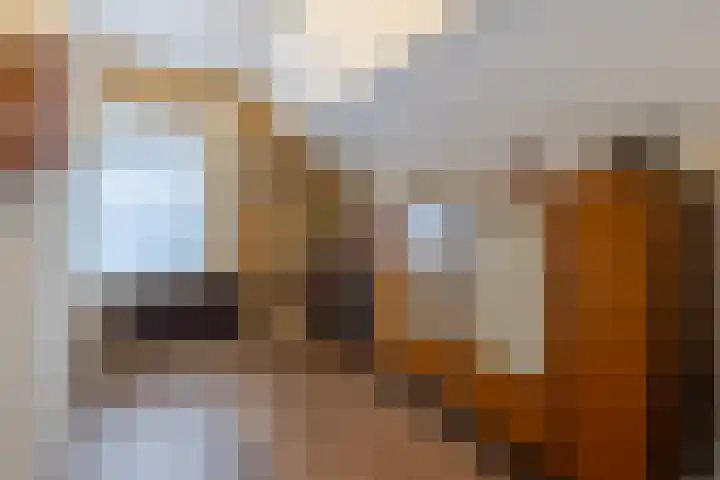 Arent van Gentstraat 12 Giessenburg thumbnail 33