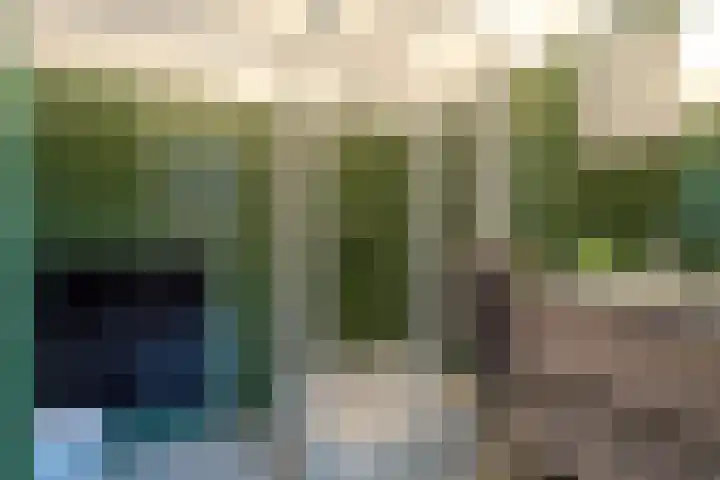 Arent van Gentstraat 12 Giessenburg thumbnail 35