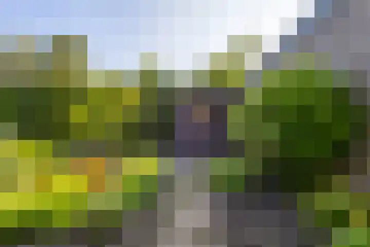 Arent van Gentstraat 12 Giessenburg thumbnail 41