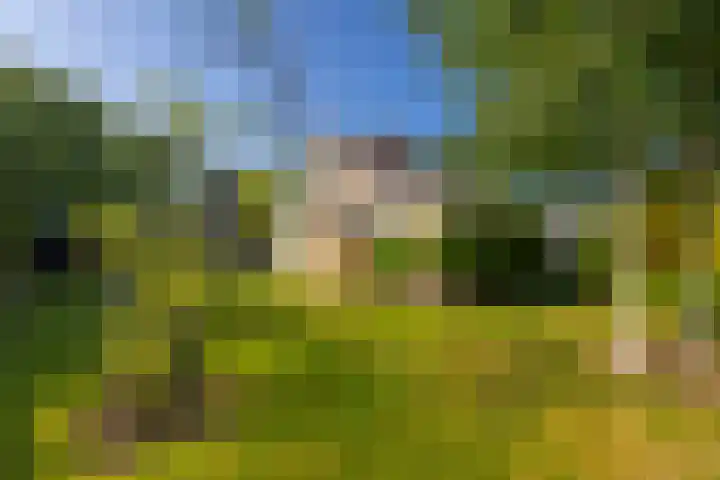 Arent van Gentstraat 12 Giessenburg thumbnail 43