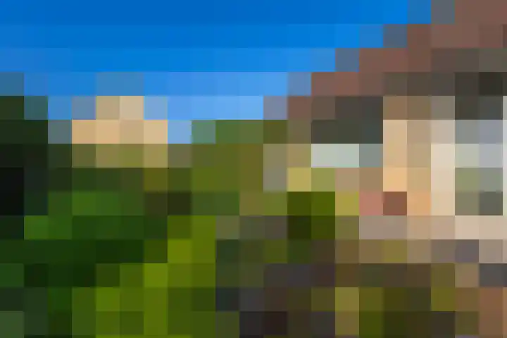 Arent van Gentstraat 12 Giessenburg thumbnail 44